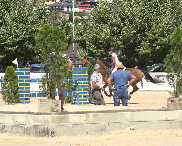Reitturnier Balsthal 2020