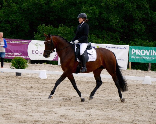 dressage horse Feliza (Rhinelander, 2011, from Fuechtels Floriscount OLD)