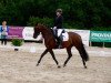 dressage horse Feliza (Rhinelander, 2011, from Fuechtels Floriscount OLD)