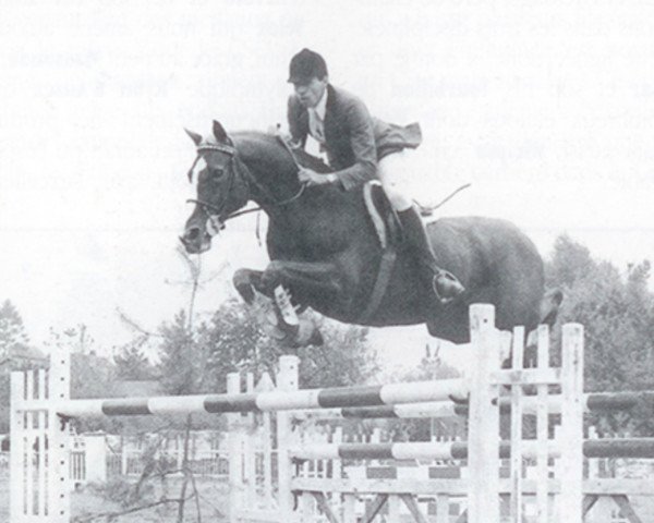 Pferd Laudanum xx (Englisches Vollblut, 1967, von Boran xx)