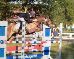 horse Neckarmann (German Riding Pony, 2001, from Neckar)