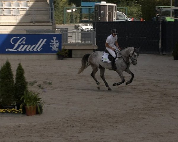 Reitturnier Aachen 2020