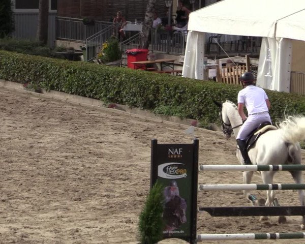 Reitturnier Siegen 2020