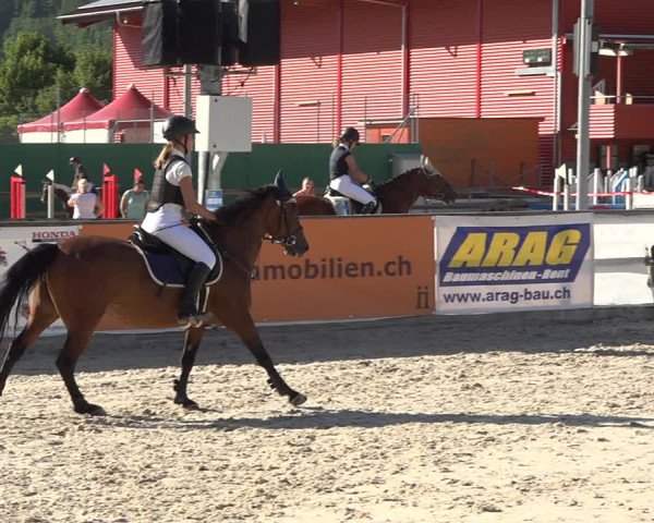 Reitturnier Balsthal 2020