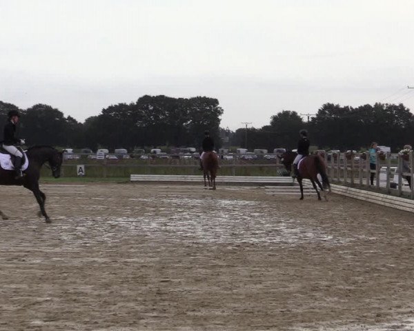 Reitturnier Ostbevern 2020