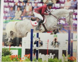 jumper California (Oldenburg show jumper, 2002, from Corland)