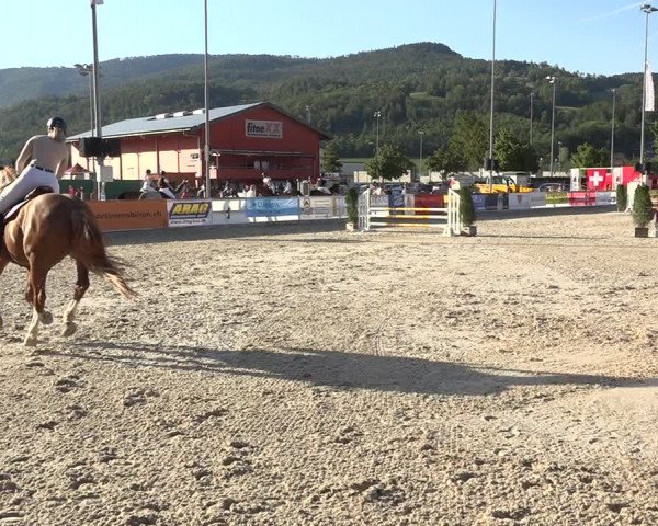 Reitturnier Balsthal 2020