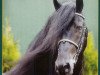 stallion Jelke 367 (Friese, 1995, from Pyt 325)