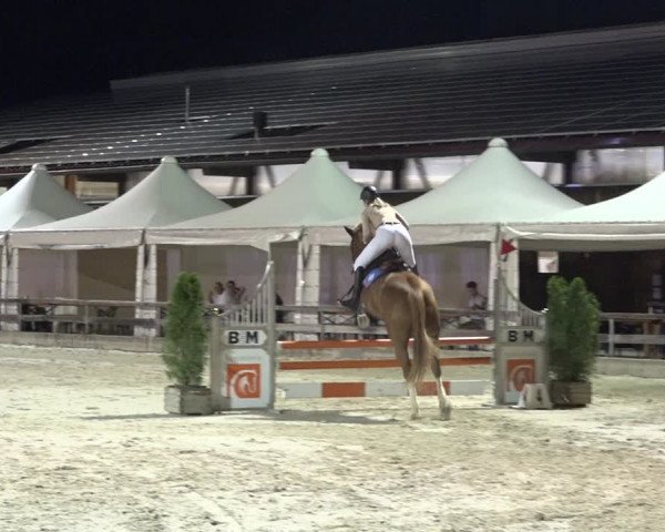 Reitturnier Balsthal 2020