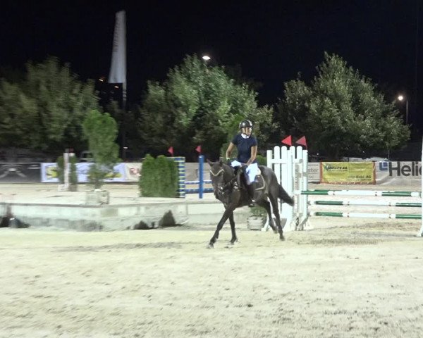 Reitturnier Balsthal 2020