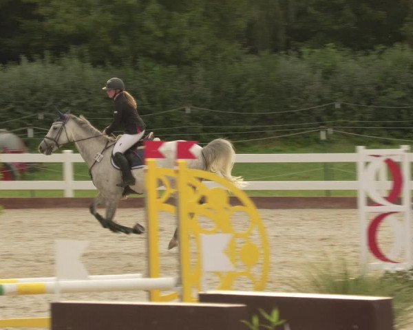 Reitturnier Öpfingen 2020
