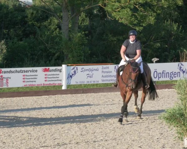 Reitturnier Öpfingen 2020
