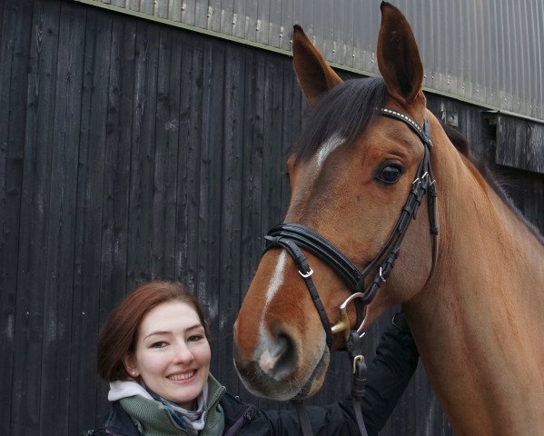 Springpferd Stanlord (Hannoveraner, 2012, von Stanley)