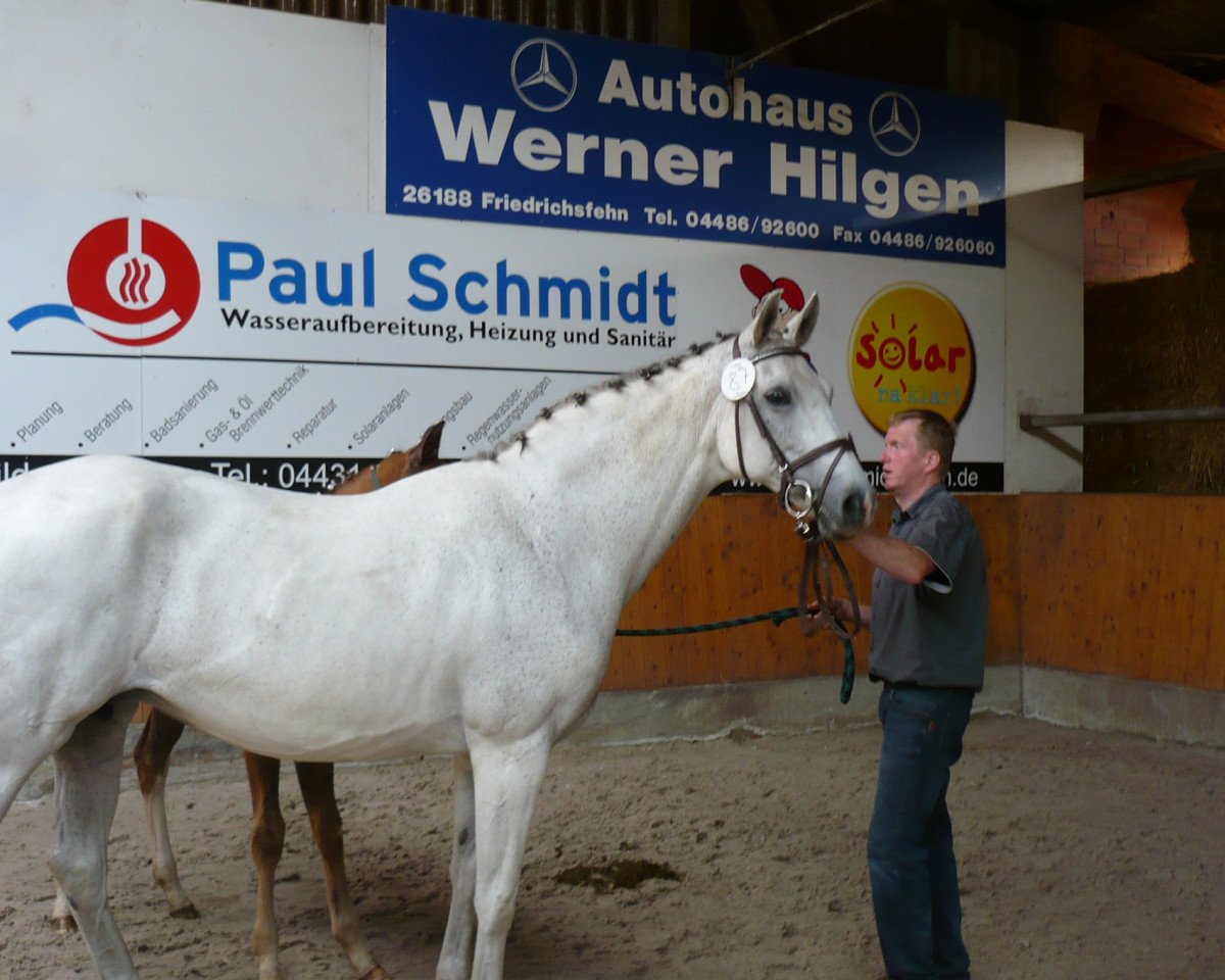 broodmare Weissenas Fuers (Oldenburg, 2005, from Fürst Heinrich)