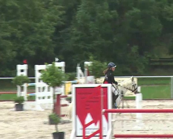 Reitturnier Ansbach/Mfr. 2020