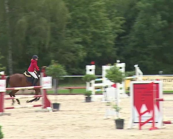 Reitturnier Ansbach/Mfr. 2020