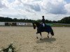 dressage horse Monbijou de Lully (Swiss Warmblood, 2002, from Mr.G)