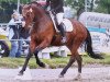 dressage horse Sammy de Luxe H (Westphalian, 2010, from Sunday)