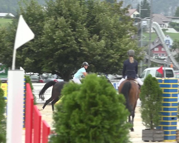 Reitturnier Balsthal 2020