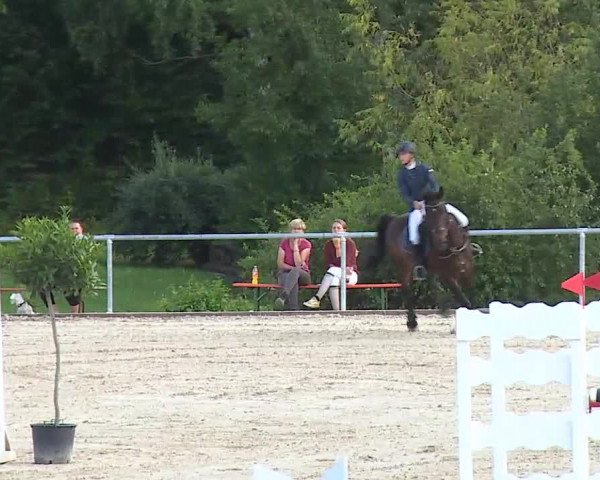 Reitturnier Ansbach/Mfr. 2020
