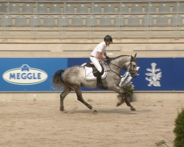 Reitturnier Aachen 2020