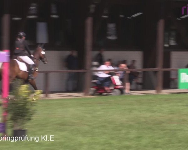 Reitturnier Heiden 2020