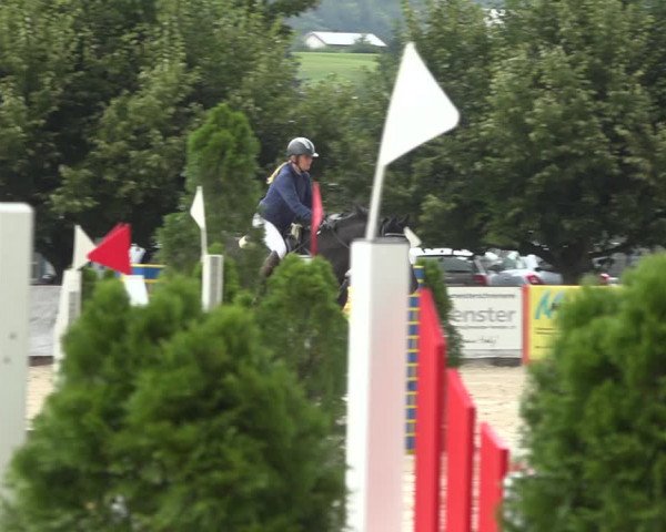 Reitturnier Balsthal 2020