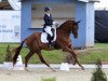 dressage horse Balagan (Westphalian, 2017, from Borsalino)