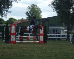 dressage horse Bella Shiko Lina (unknown, 2002, from Zinto)