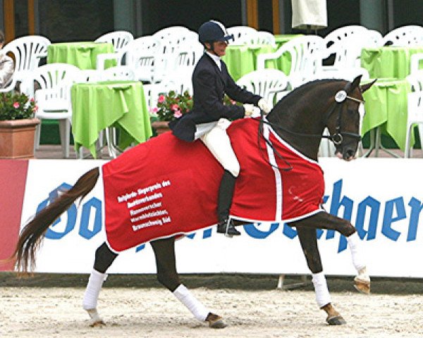 Dressurpferd Scarastro (Hannoveraner, 2006, von San Remo)