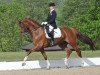 dressage horse Donares (Hanoverian, 2005, from Don Frederico)