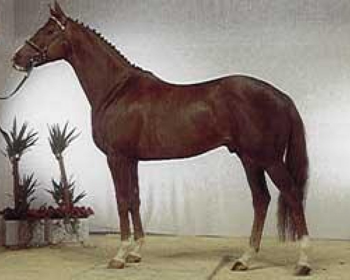 stallion Helenikos xx (Thoroughbred, 1985, from Ela-Mana-Mou xx)