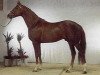 stallion Helenikos xx (Thoroughbred, 1985, from Ela-Mana-Mou xx)