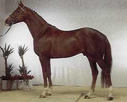 stallion Helenikos xx (Thoroughbred, 1985, from Ela-Mana-Mou xx)