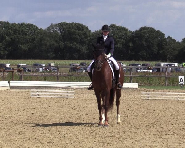 Reitturnier Ostbevern 2020