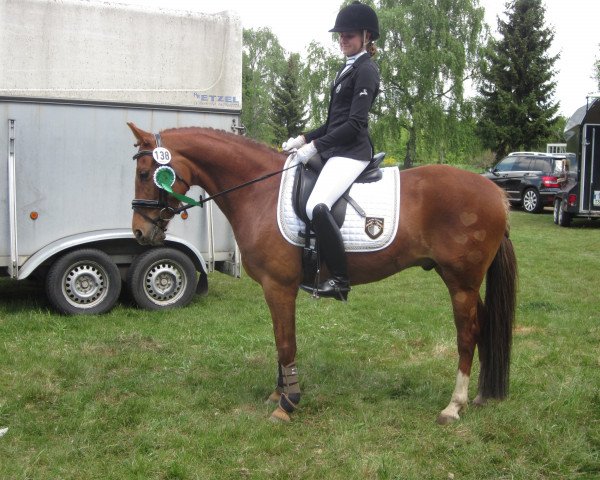 dressage horse Golden Heart 2 (German Riding Pony, 2007, from FS Golden Moonlight)