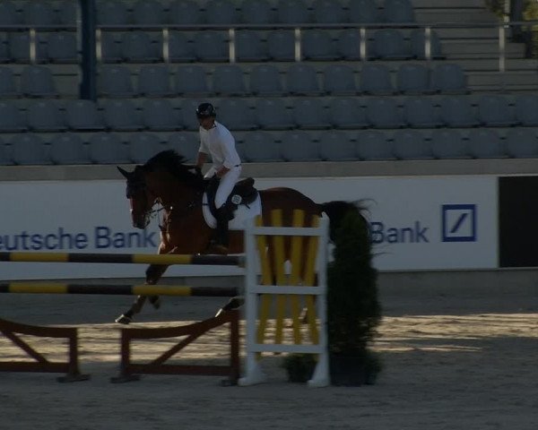 Reitturnier Aachen 2020