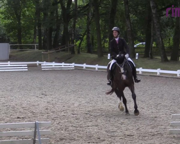 Reitturnier Heiden 2020