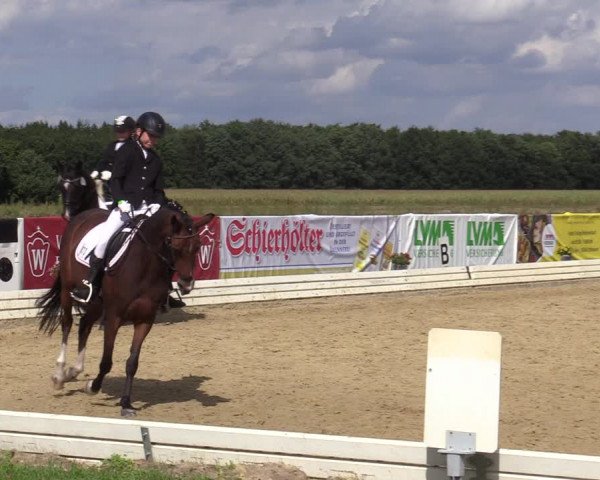 Reitturnier Ostbevern 2020