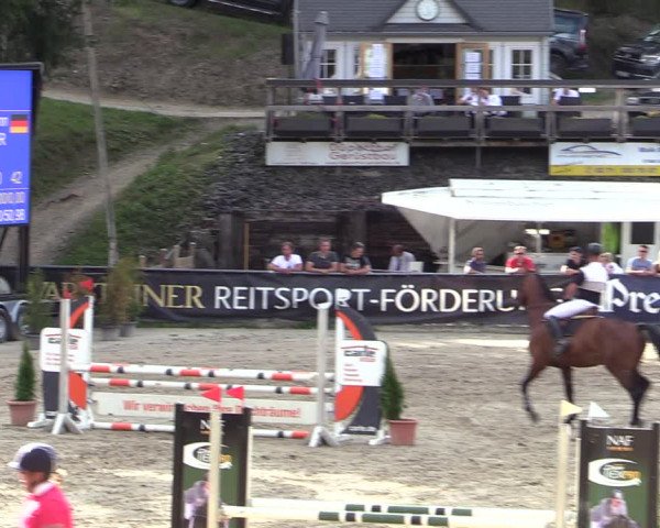 Reitturnier Siegen 2020
