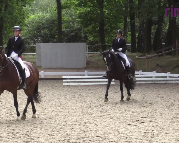 Reitturnier Heiden 2020