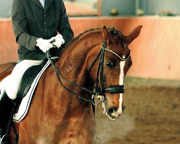 dressage horse Flavio 39 (Rhinelander, 2005, from Floribot)