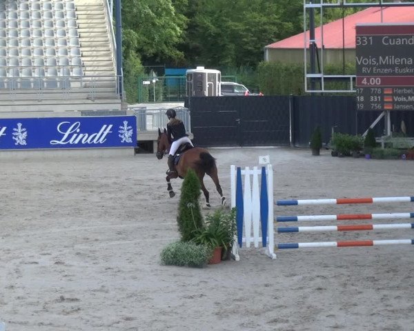 Reitturnier Aachen 2020