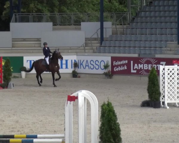 Reitturnier Aachen 2020