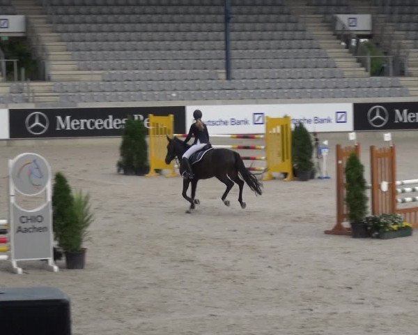 Reitturnier Aachen 2020