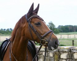 broodmare Fleur Rouge (Westphalian, 2002, from Fürst Piccolo)