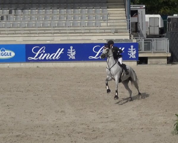Reitturnier Aachen 2020