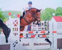 jumper Celano 16 (Oldenburg show jumper, 2008, from Cellestial)