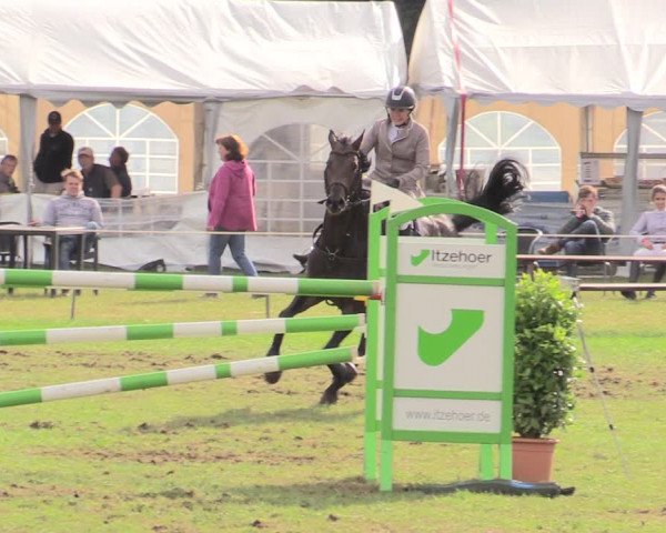 Reitturnier Hanerau-Hademarschen 2020