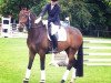 dressage horse Floresco 13 (Westphalian, 2010, from Flatley 2)